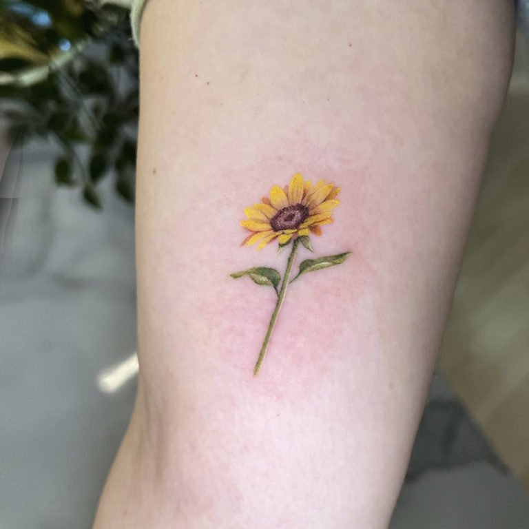 Home - Losietattoo