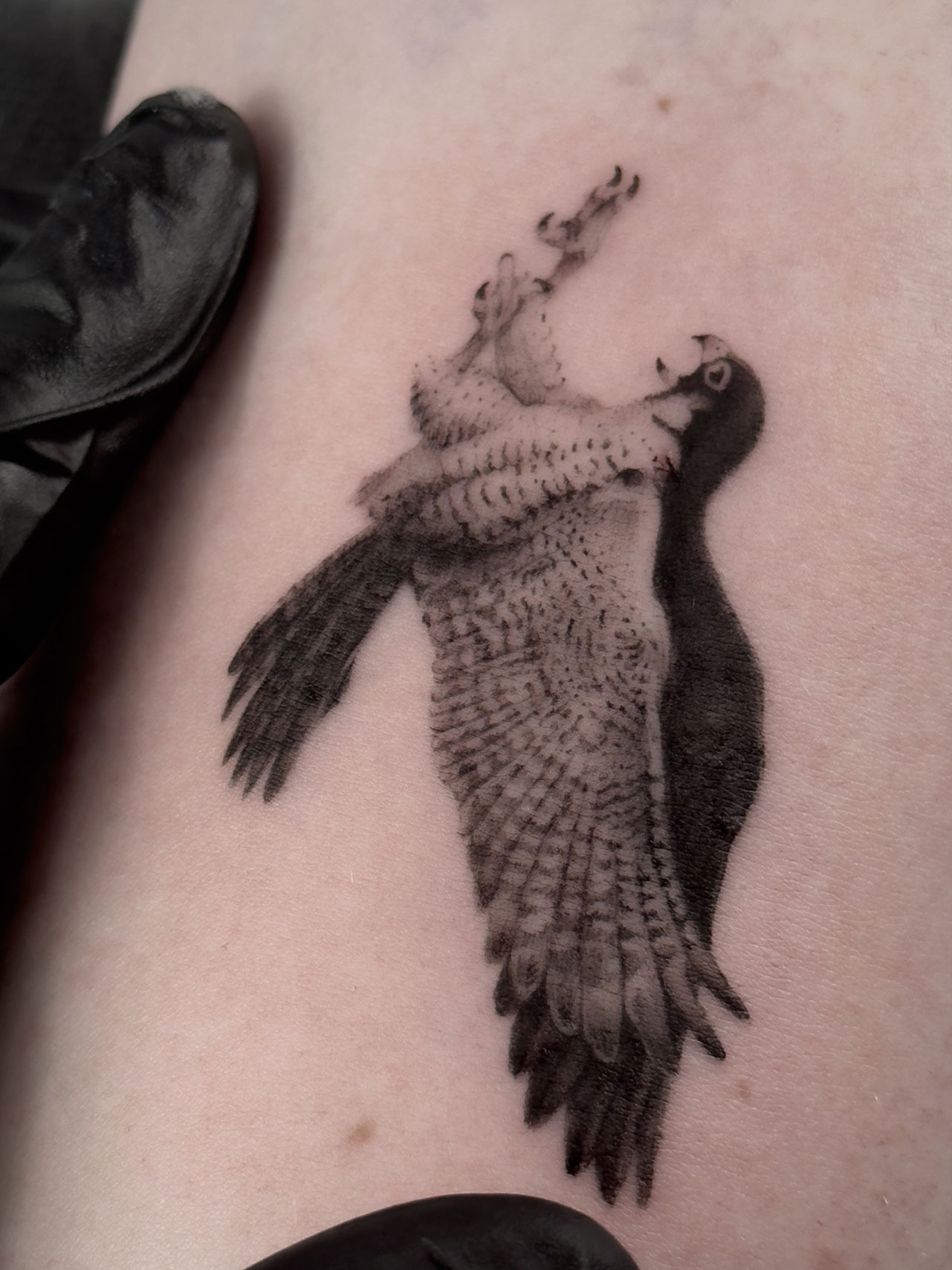 MICROREALISMO ANIMAL TATUAJE ALICANTE MURCIA ARTE TATTOO