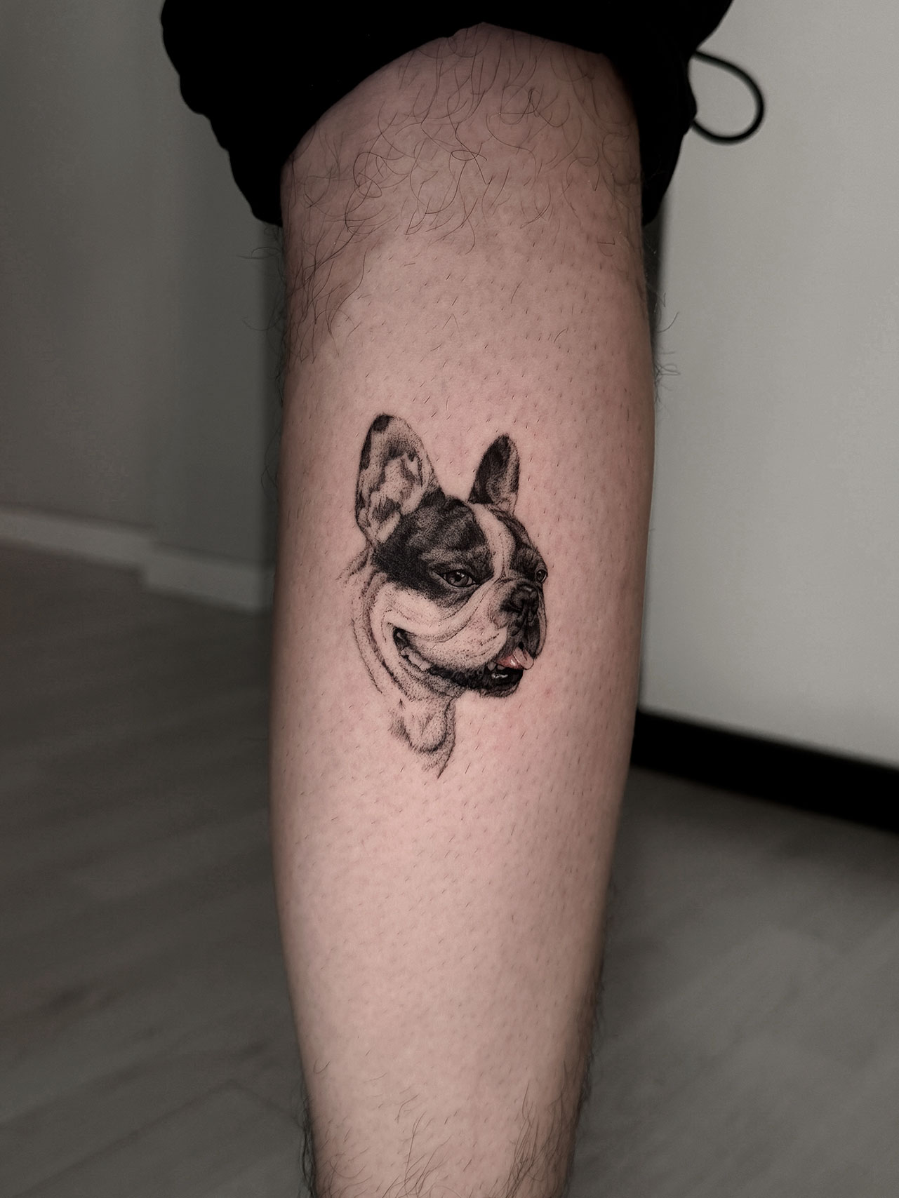 bulldog-microrealismo-fineline-alicante